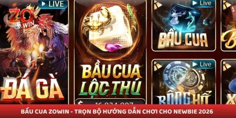 Bầu Cua Zowin – Trọn Bộ Hướng Dẫn Chơi Cho Newbie 2026