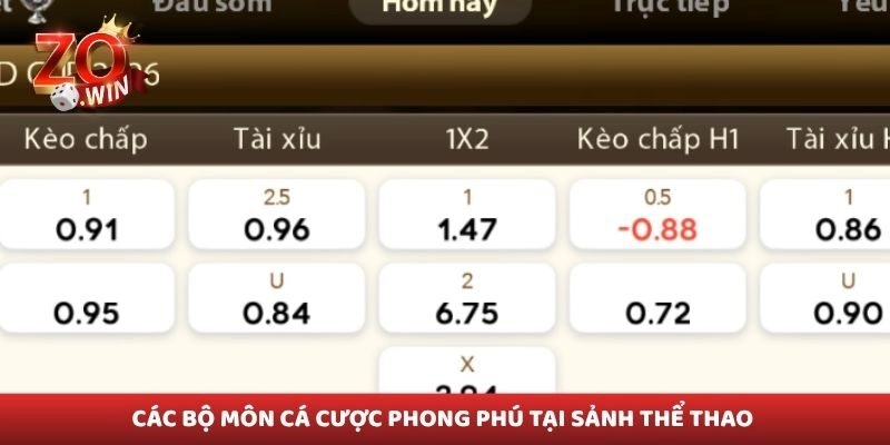 Các bộ môn cá cược phong phú tại sảnh thể thao