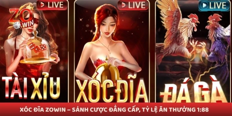 Xóc Đĩa Zowin – Sảnh Cược Đẳng Cấp, Tỷ Lệ Ăn Thưởng 1:88